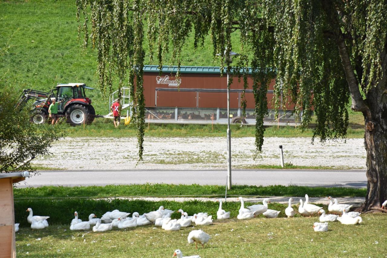 Puttererseehof Aigen im Ennstal Exterior foto